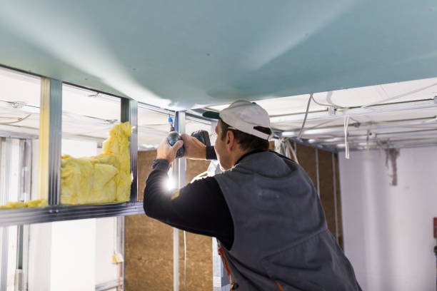 Best Residential Insulation in West Sharyland, TX