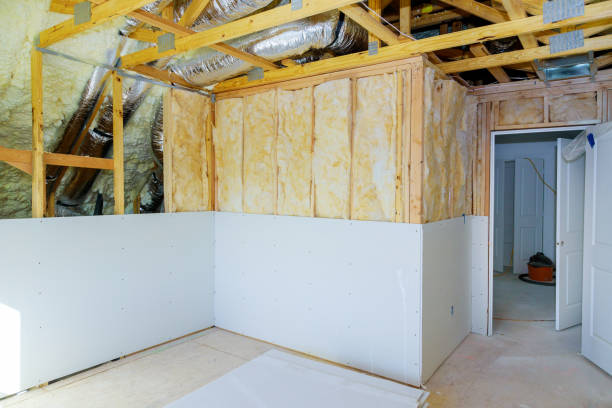 Best Insulation Installation Services in West Sharyland, TX