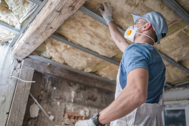 Best Insulation Maintenance and Repair in West Sharyland, TX