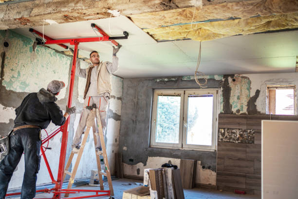 Best Insulation Installation Services in West Sharyland, TX
