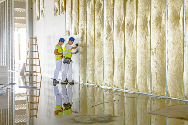 Best Insulation for Specific Applications in West Sharyland, TX